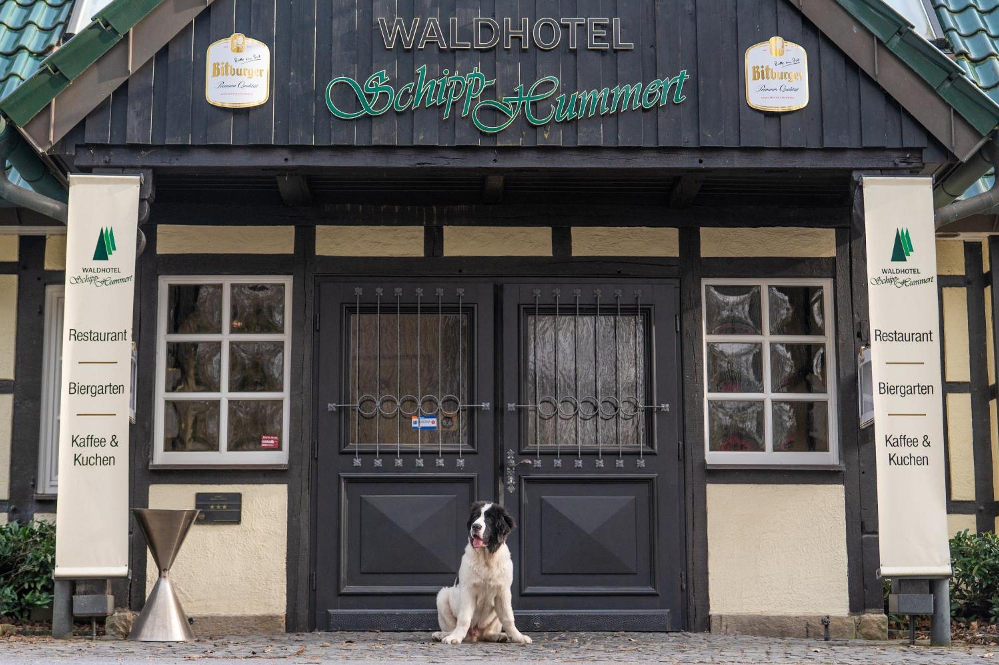 Waldhotel Schipp-Hummert Emsdetten Exteriör bild